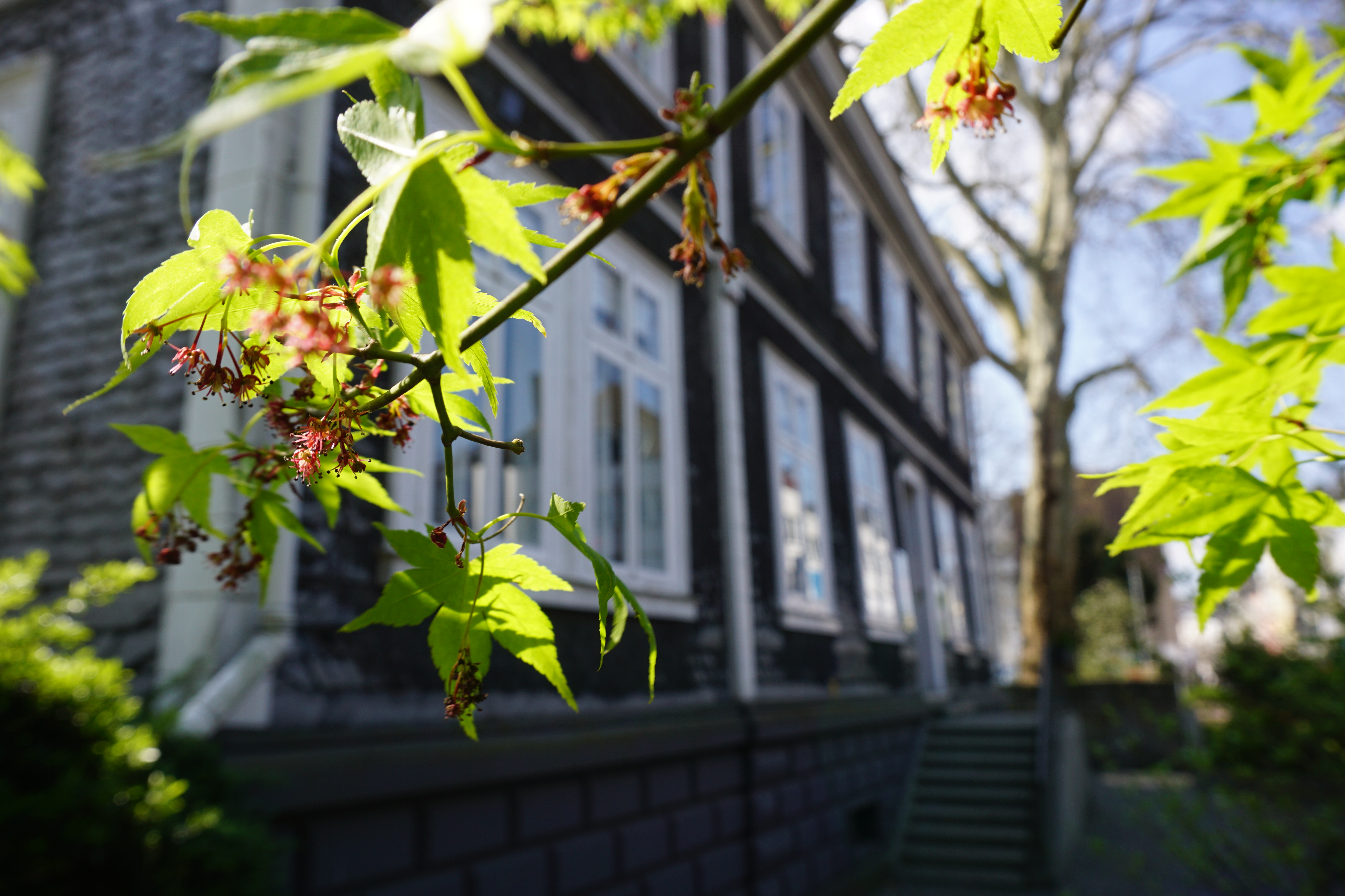 Das ifs-Haus an einem sonnigen Tag
