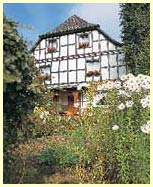 Das Haus Buntspecht